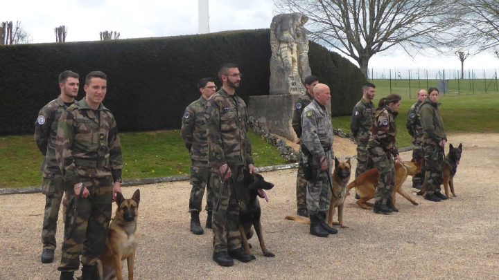 Les chiens cynophiles à Neuilly-Plaisance au service de la protection