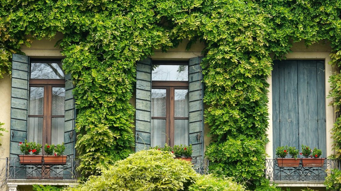 Volets connectés battants : les informations à connaitre